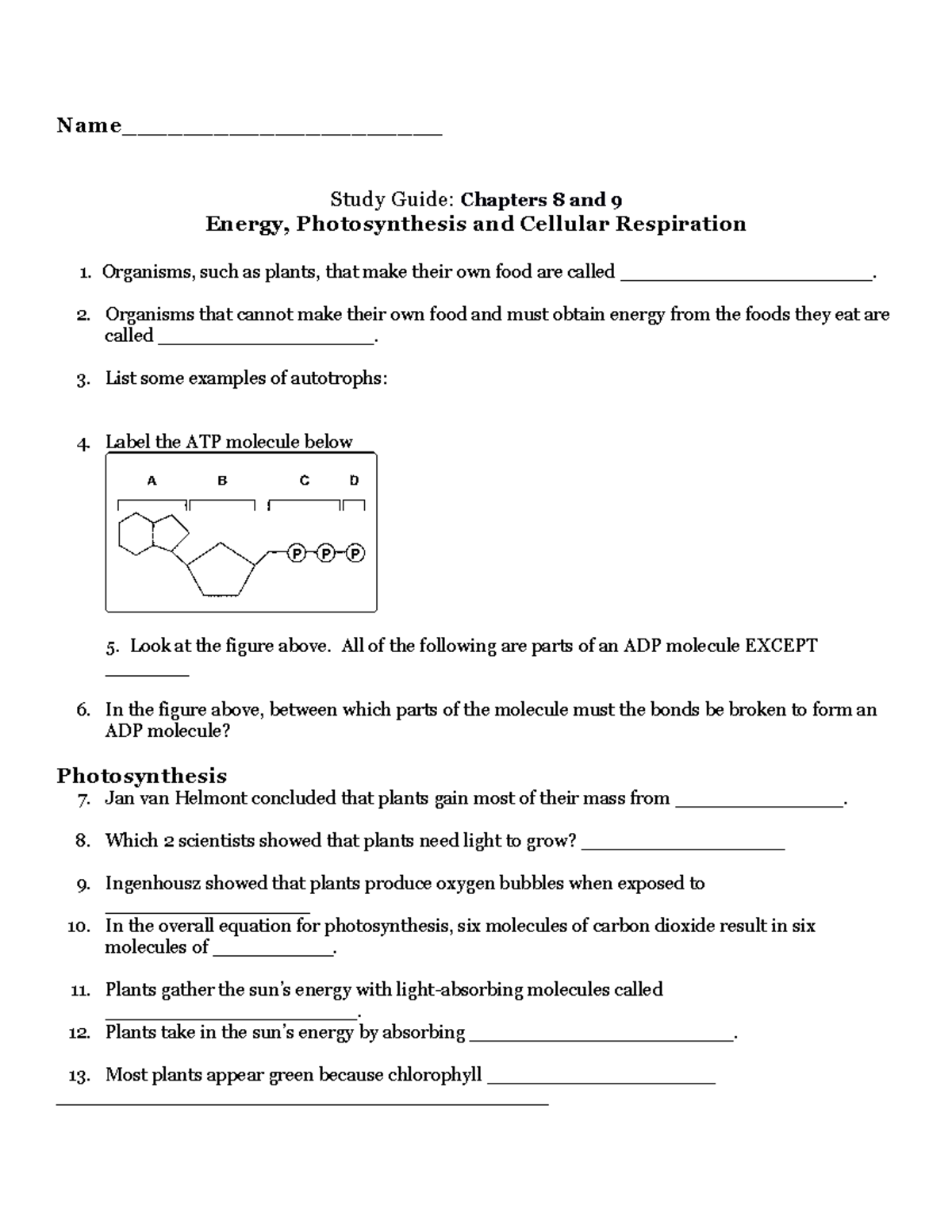 Photosynthesis Practice - Name_____________________ Study Guide ...