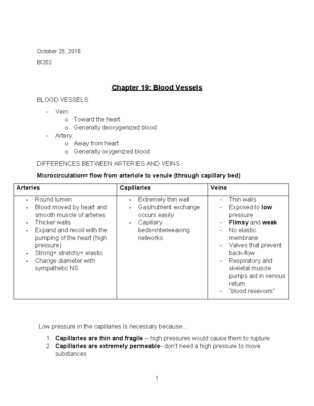 Blood Vessels - CHAPTER 19 - October 25, 2016 BI Chapter 19: Blood ...