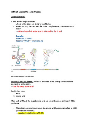 BMB 251 Module 2 Notes - Upon completion of this module, student should ...
