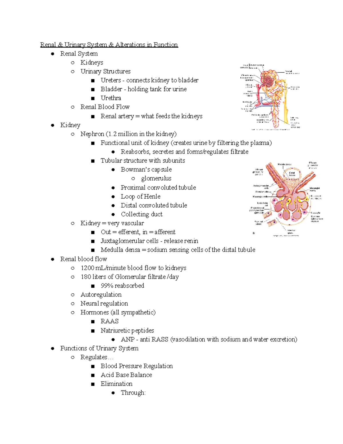 Week 13 Unit 4 - Laura Henson - Renal & Urinary System & Alterations in ...