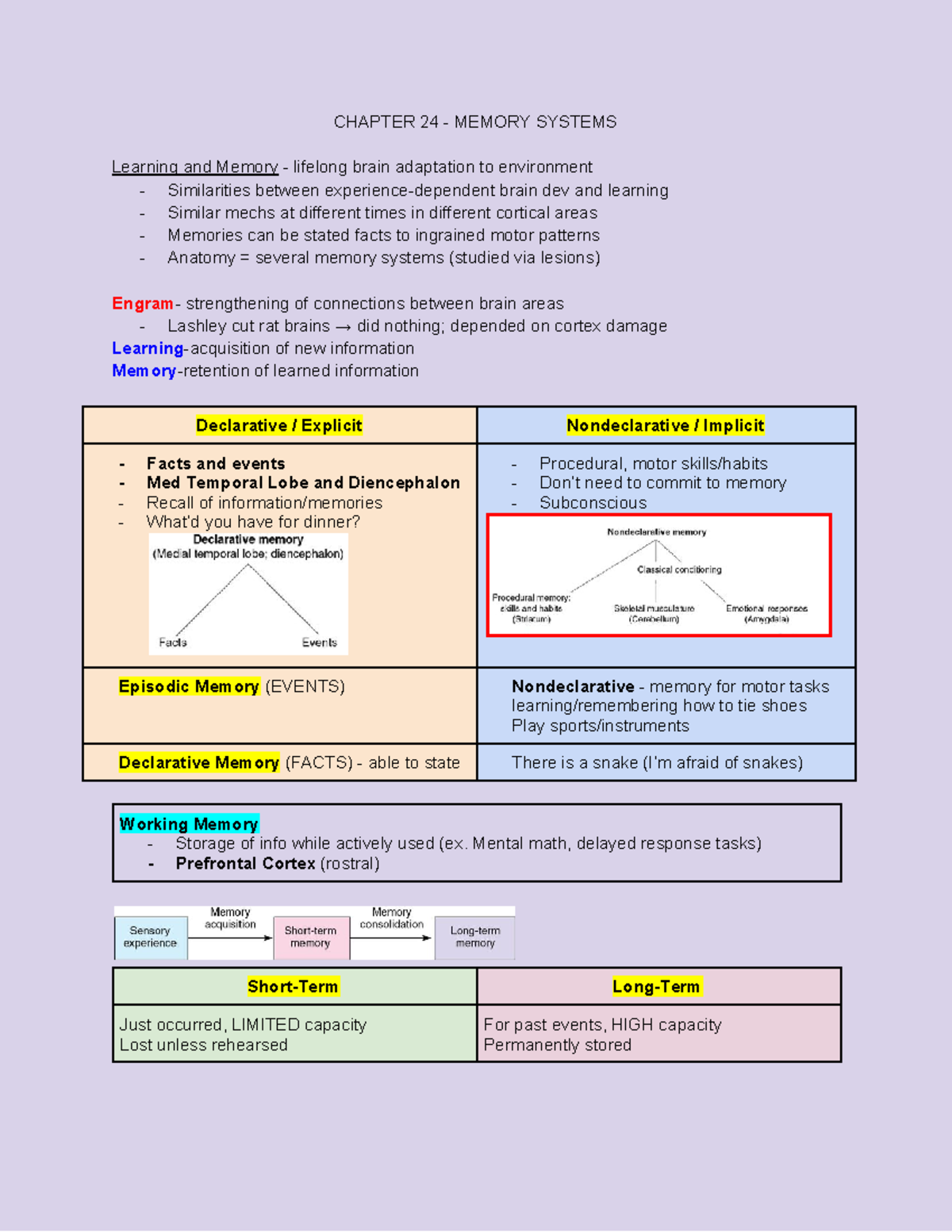 Neurobio Last notes - CHAPTER 24 - MEMORY SYSTEMS Learning and Memory ...