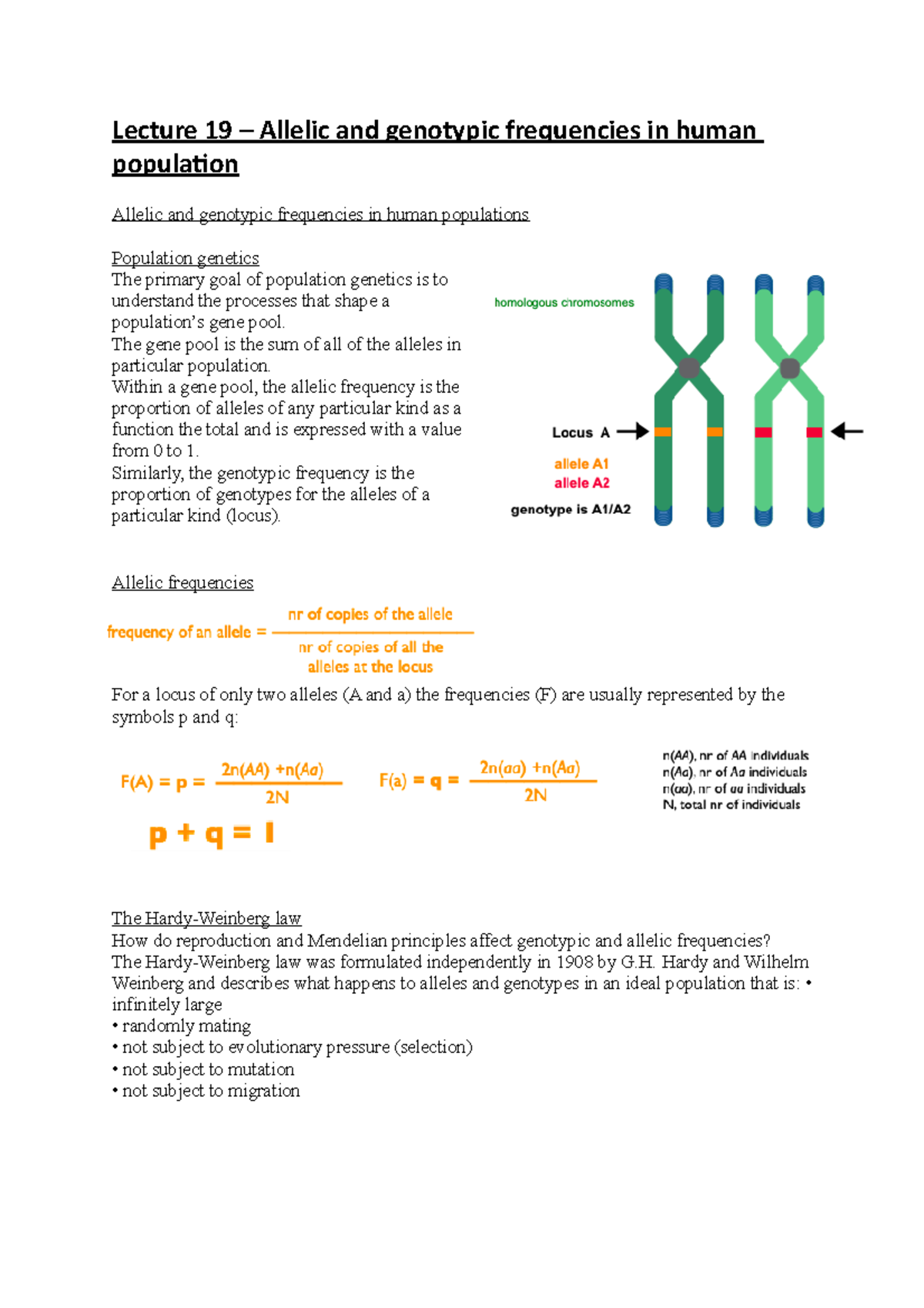 Allele frequencies - Lecture 19 – Allelic and genotypic frequencies in ...