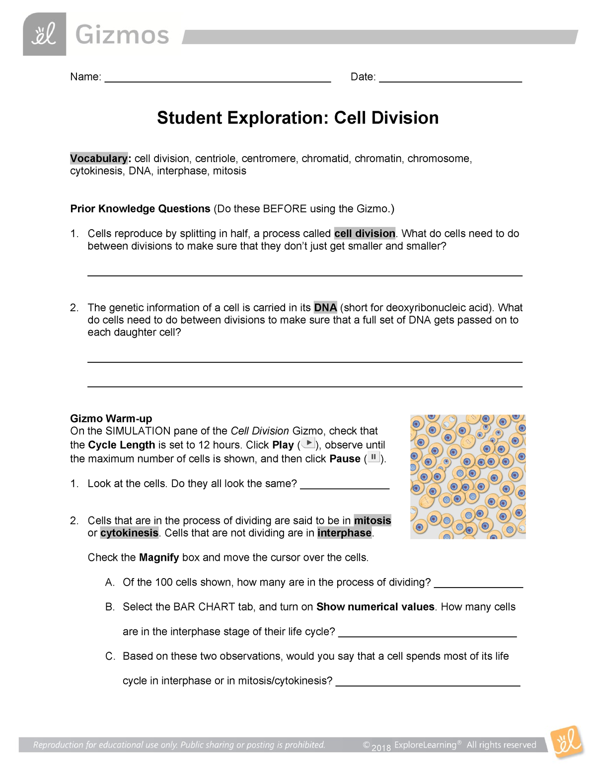 Cell Division SE - N/A - Name ...