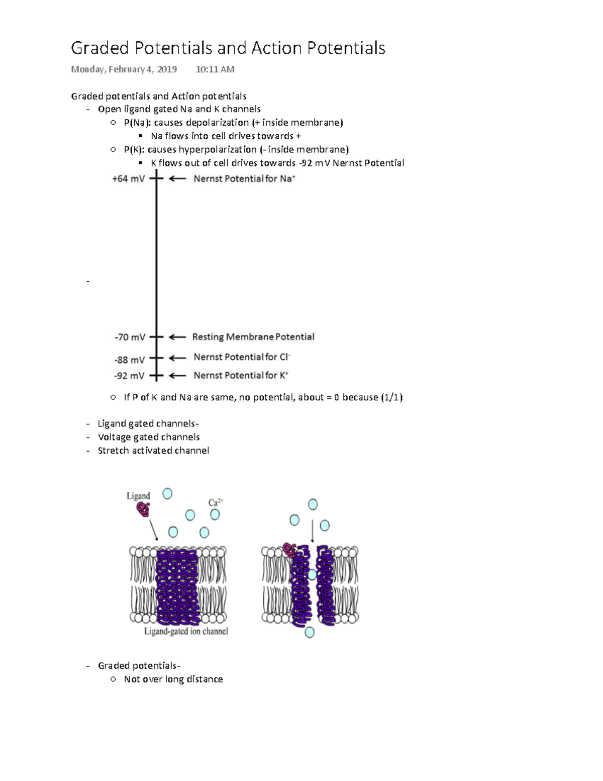 2 Graded Potential and Action Potential Graded potentials and