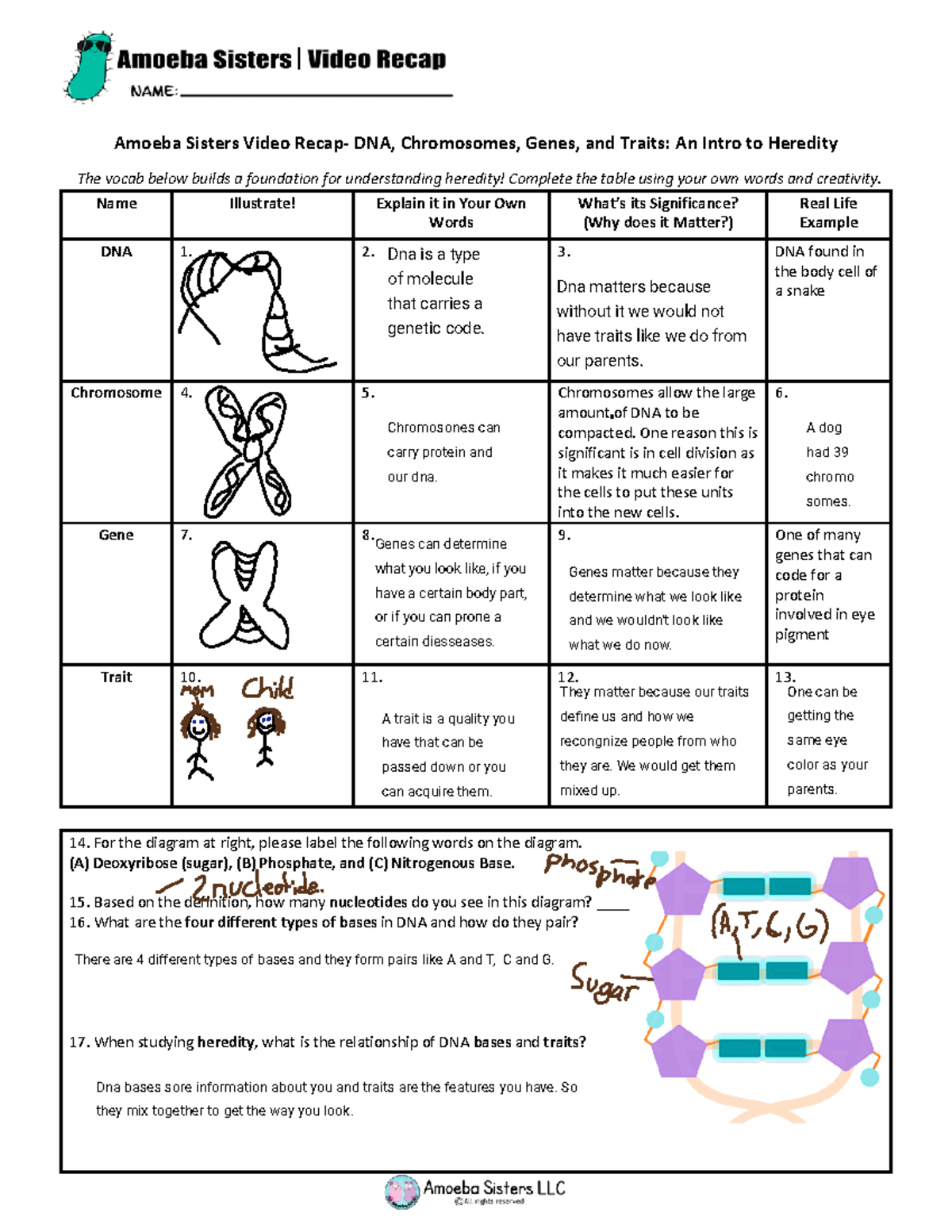 Bella Arias- Duenas - video recap of dna chromosomes genes proteins by ...