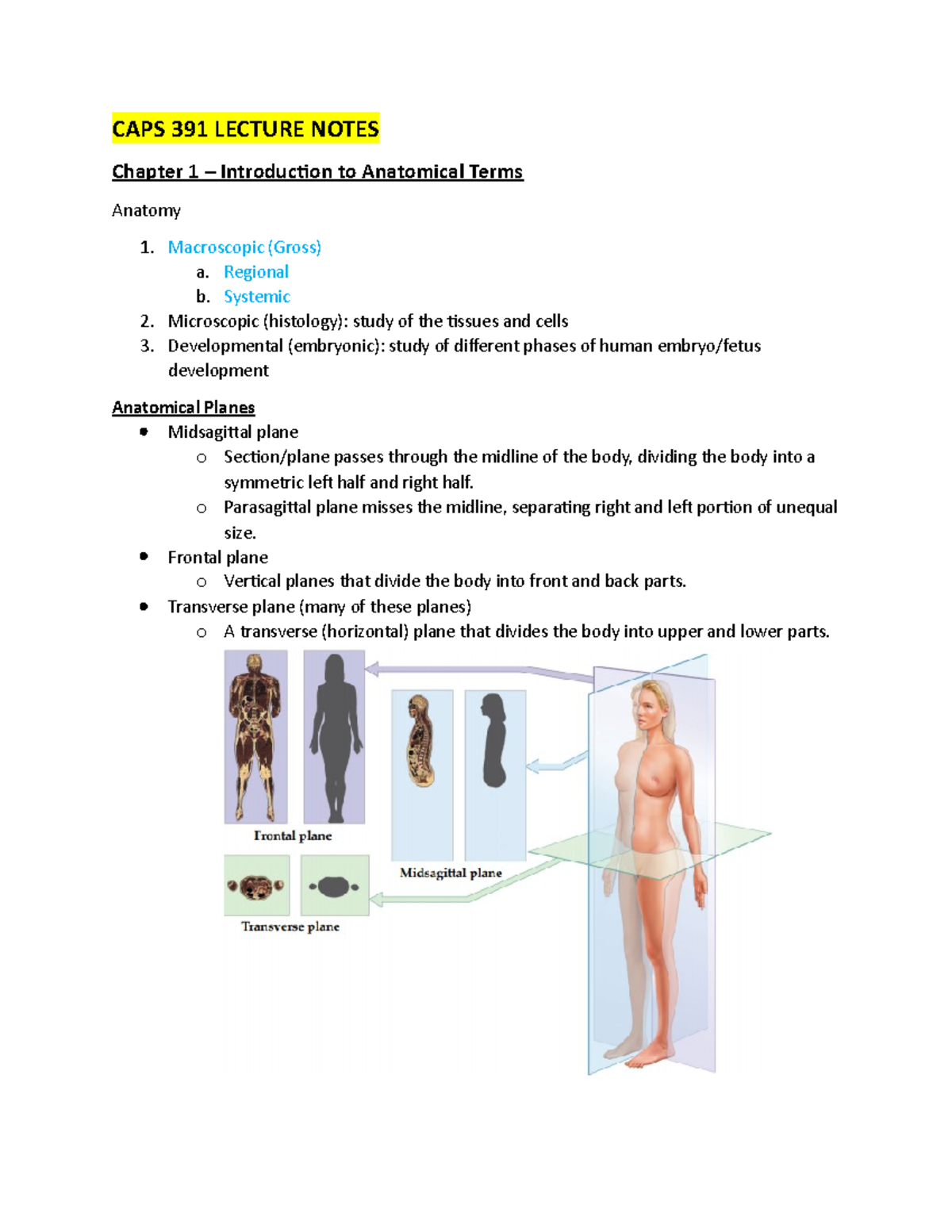 CAPS 391 Lecture Notes CAPS 391 LECTURE NOTES Chapter 1 Introducion to Anatomical Terms
