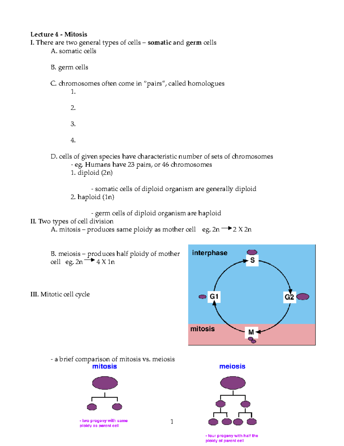 lecture-04-mitosis-lecture-4-mitosis-i-there-are-two-general-types