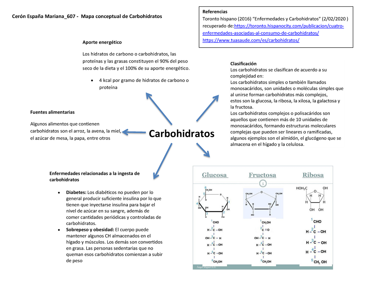 Mapa Conceptual De Carbohidratos Biolog A Celular Bio Unam The Best Porn Website 8240