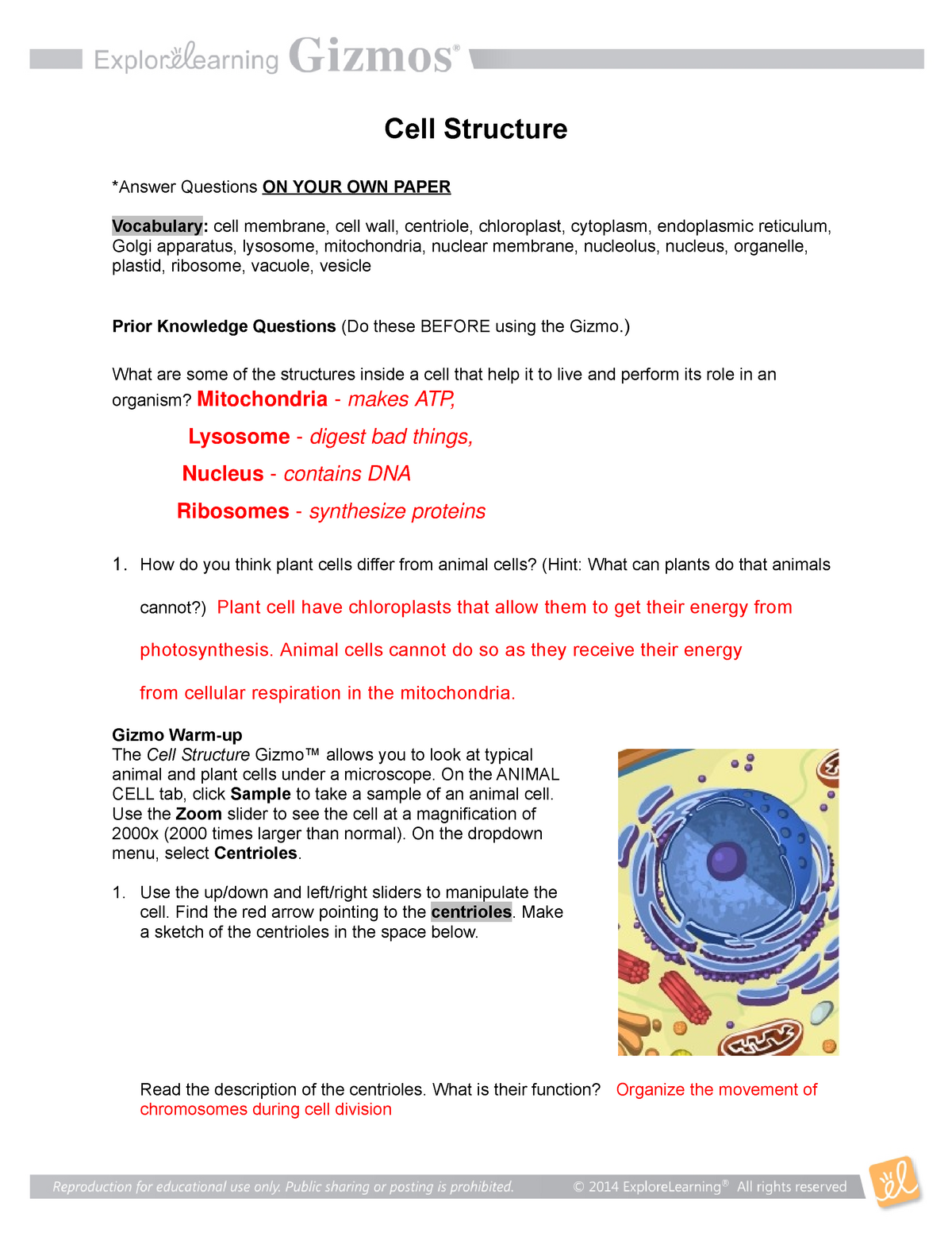 Cell Structure SE 20 - Cell Structure *Answer Questions ON YOUR OWN With Cells And Their Organelles Worksheet