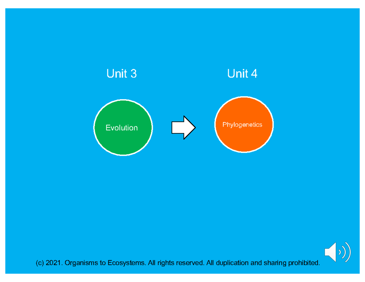 1. Sp23 Unit 4 Phylogeny lecture 1 updated Print - Phylogenetics ...