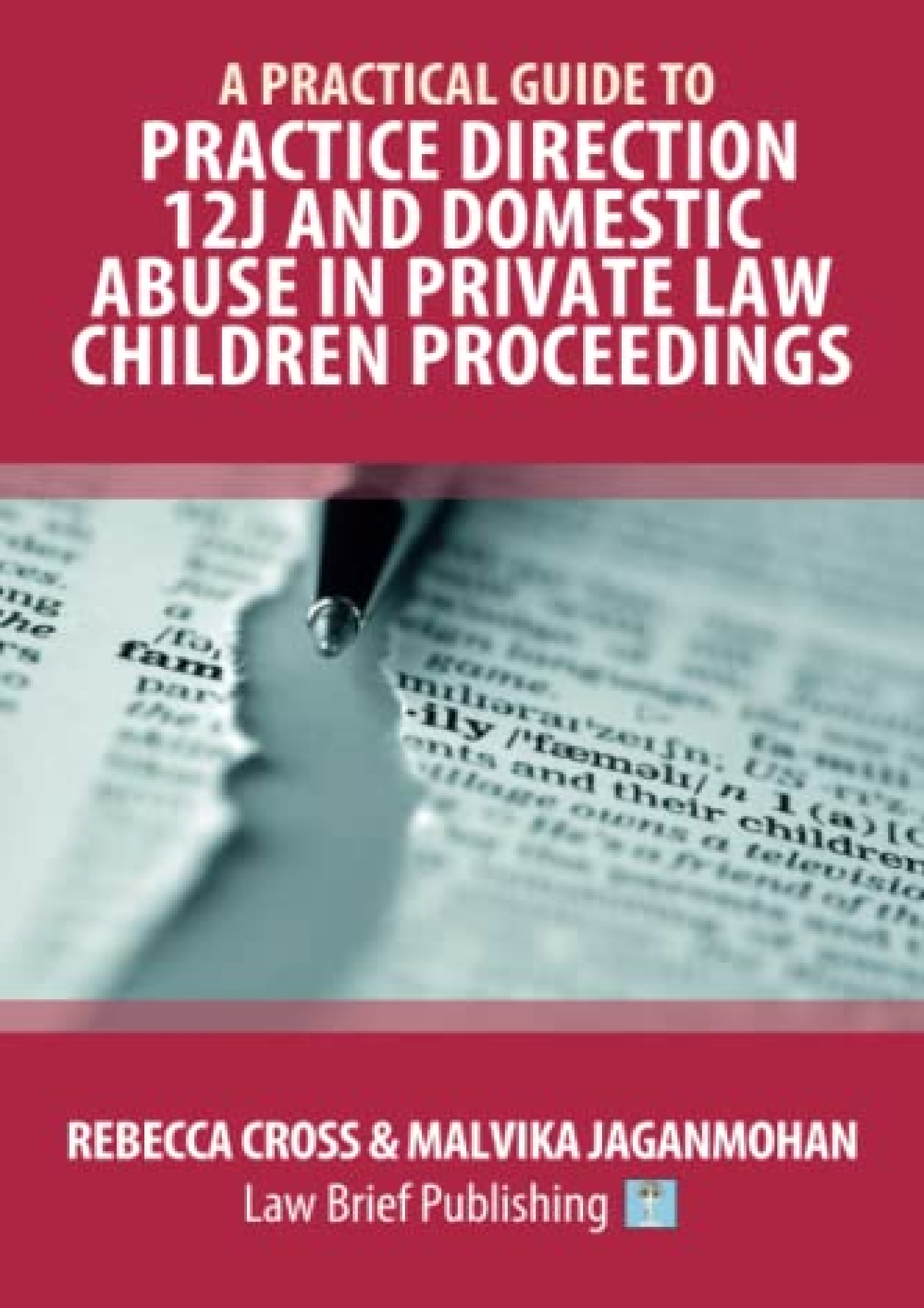 pdf-read-a-practical-guide-to-practice-direction-12j-and-domestic-abuse