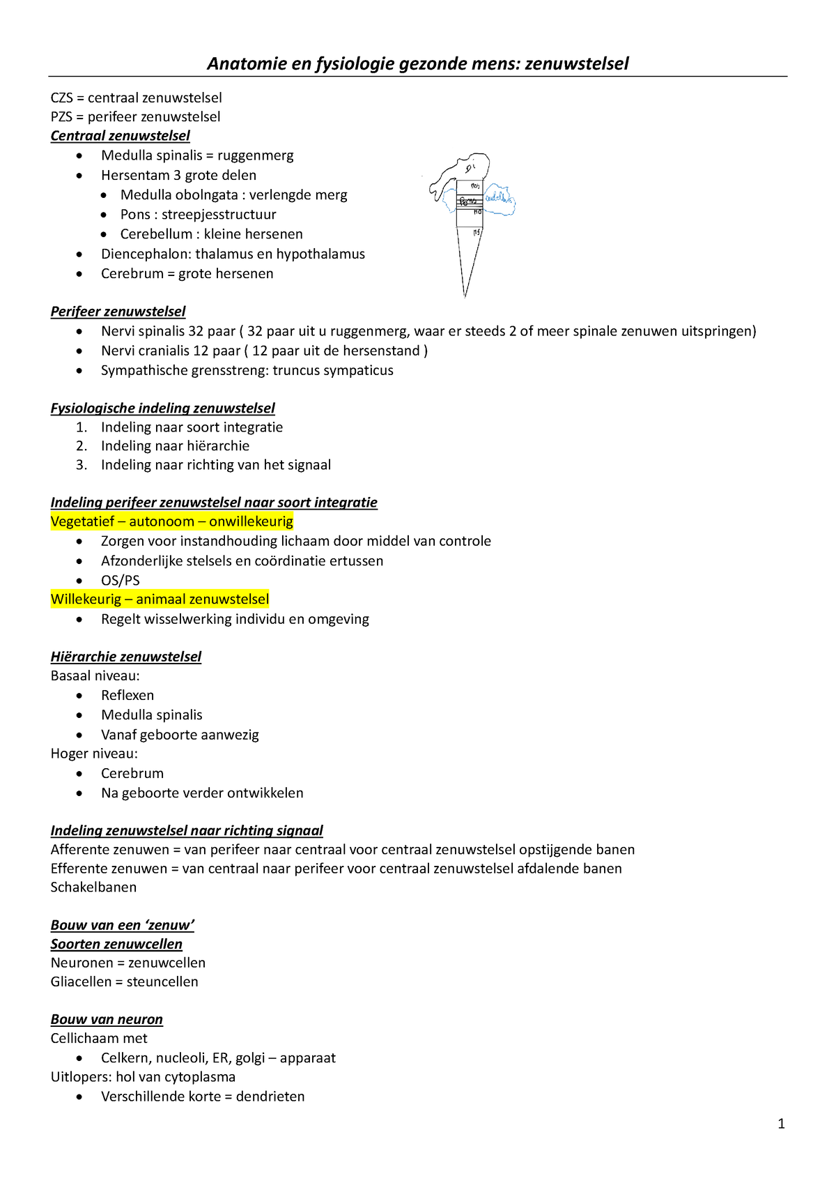 Zenuwstelsel Module 2 - Anatomie En Fysiologie Gezonde Mens ...