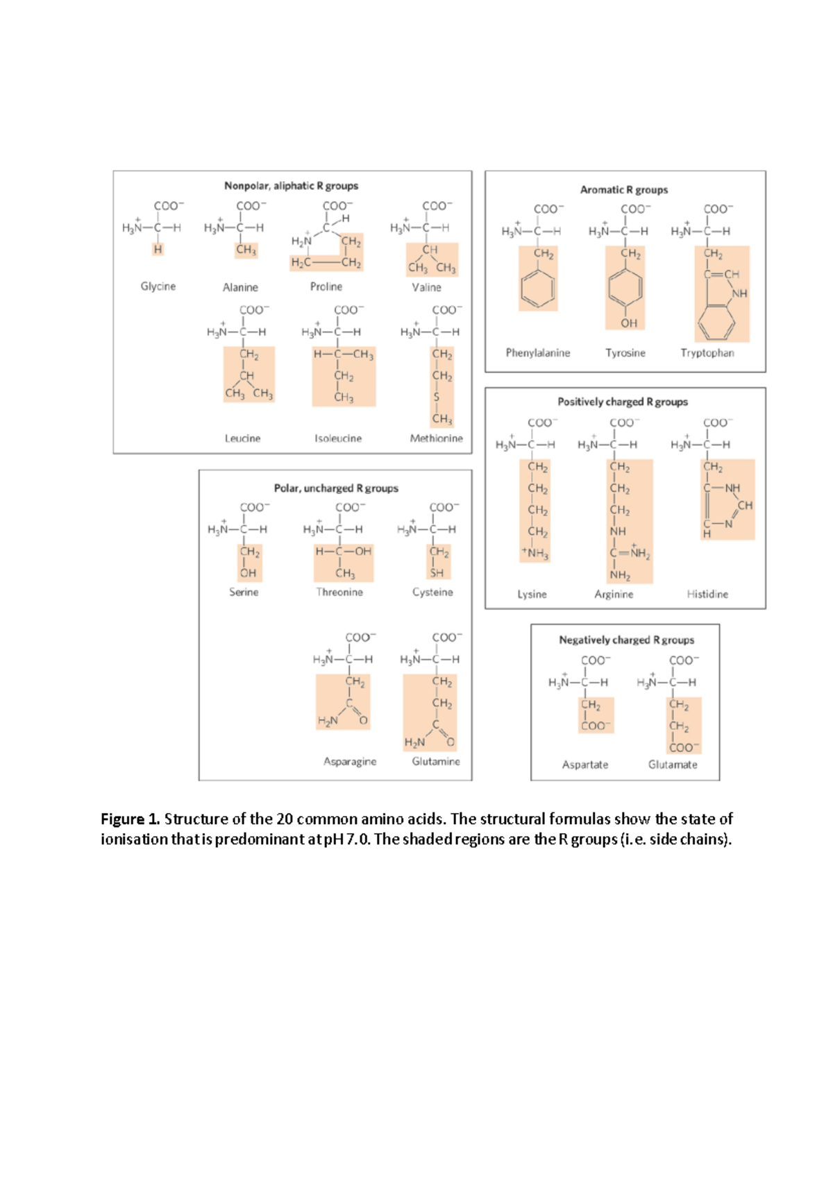 AAs+structure+%26+properties - LQB381 - Figure 1. Structure of the 20 ...