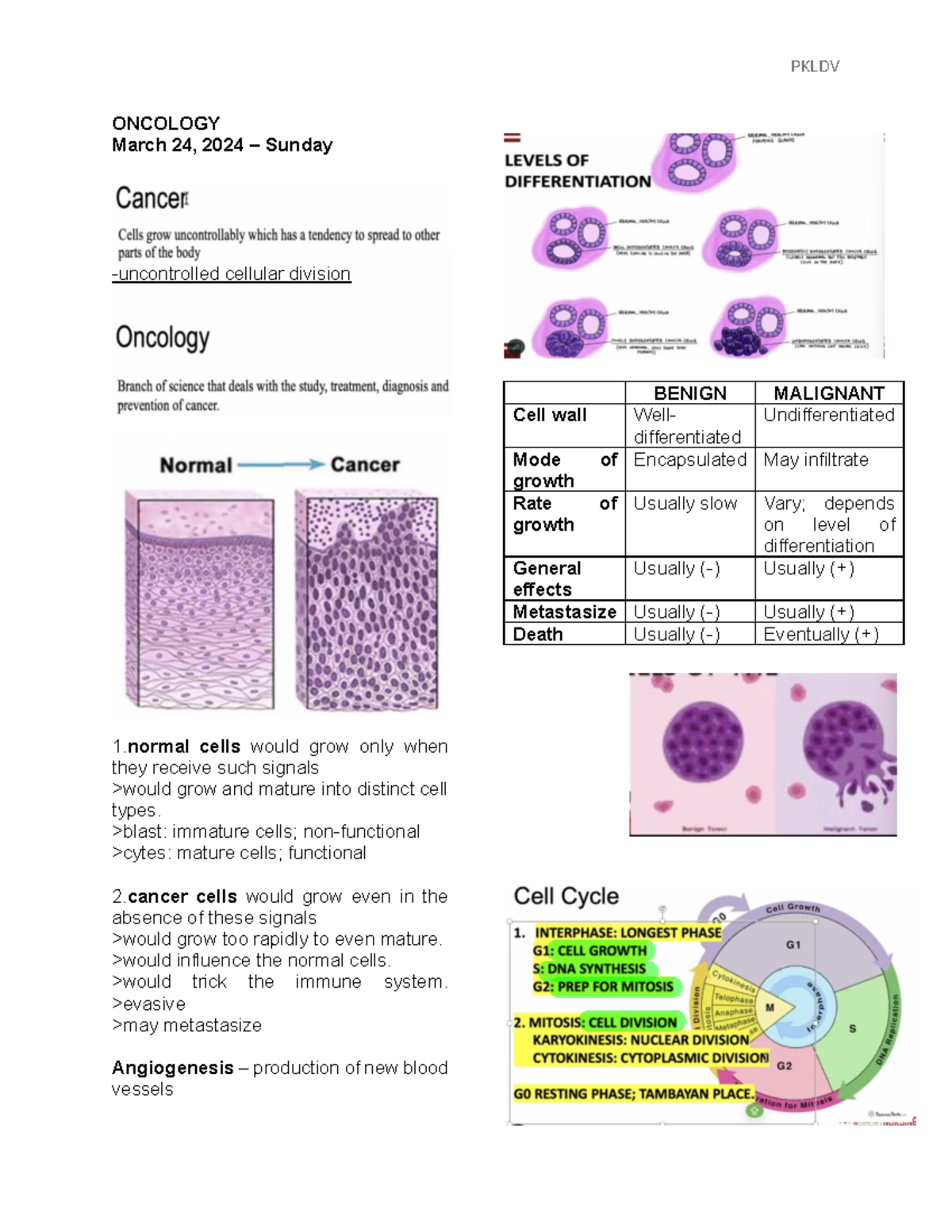 Oncology notes lec - ONCOLOGY March 24, 2024 – Sunday uncontrolled ...