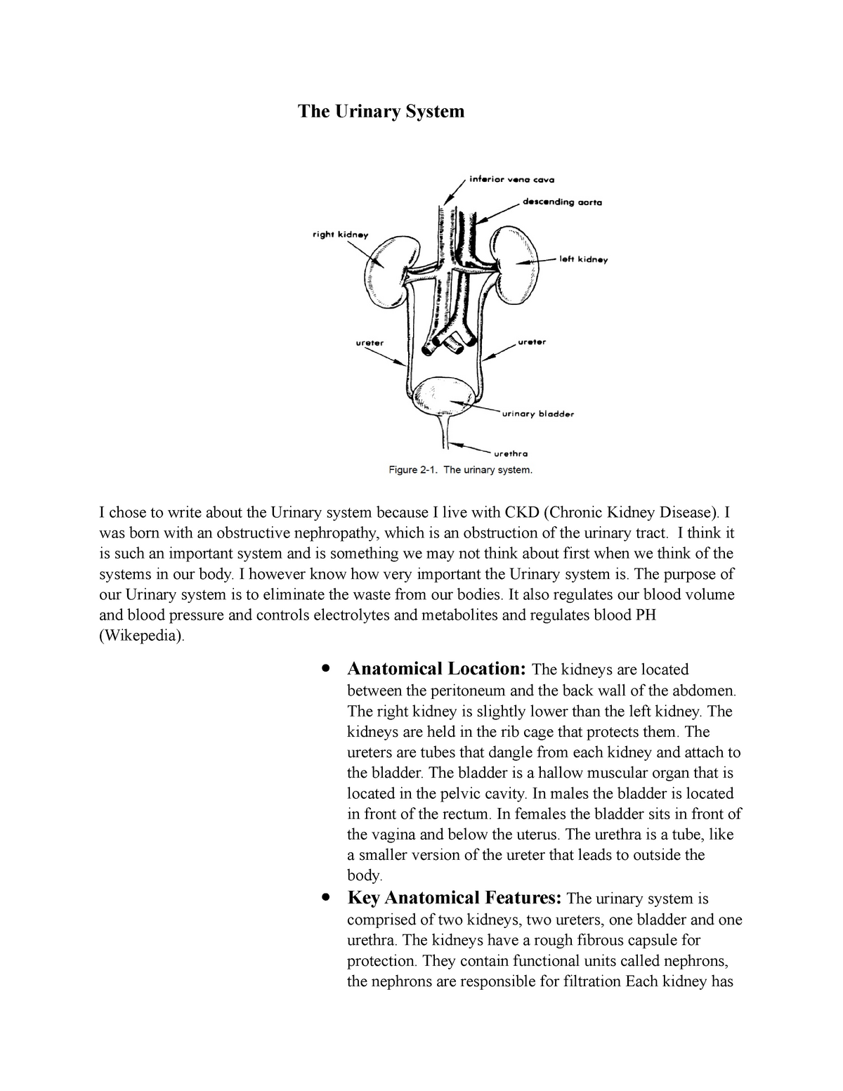 Urinary system: The Histology Guide