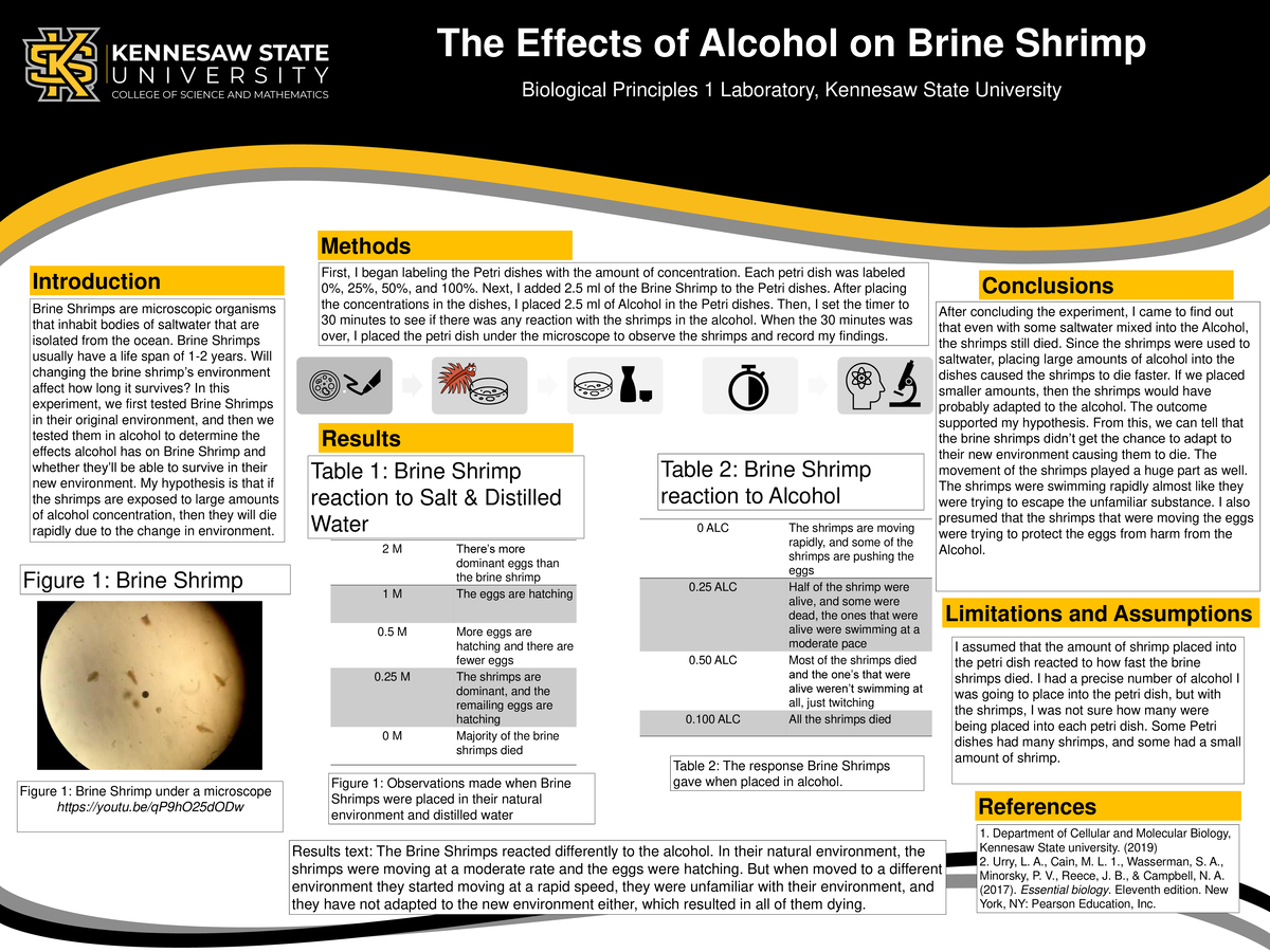 BIOL 1107L Brine Shrimp Poster 1 - The Effects of Alcohol on Brine ...
