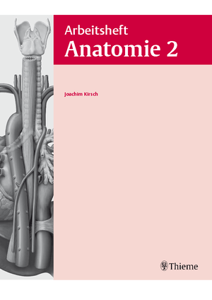 Endokrine Organe Wintersemester Anatomie/ Physiologie I Studocu