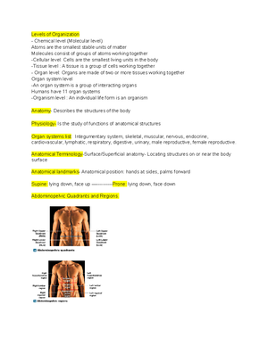 Chapter 13 Spinal Cord, Spinal Nerves, and Spinal Reflexes - (slide3 ...