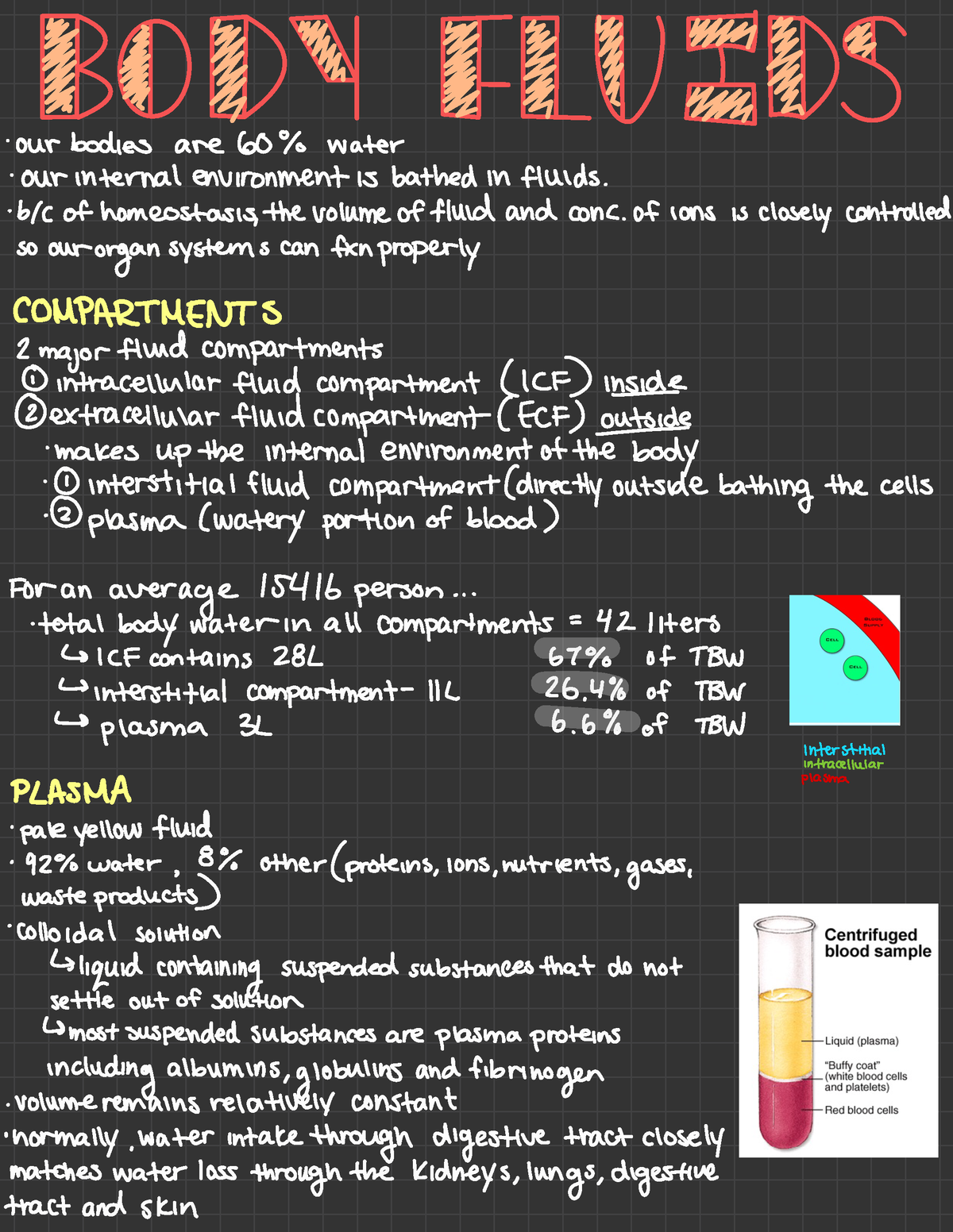 Module 2- Body Fluids - U S ' ourbodies are 60% water ...