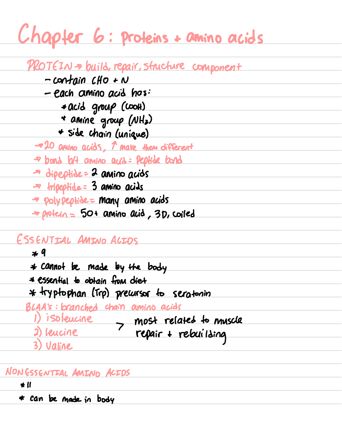 Nutrition Chapter 6 - Chapter 6 : Proteins Amino Acids PROTEIN → Build ...