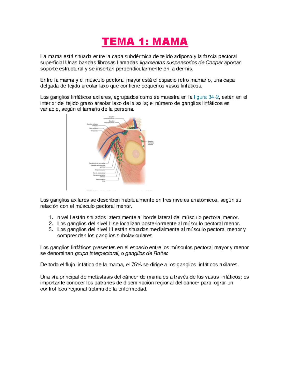 Mama - Resumen - preguntas y repuesta de micosis - TEMA 1: MAMA La mama ...