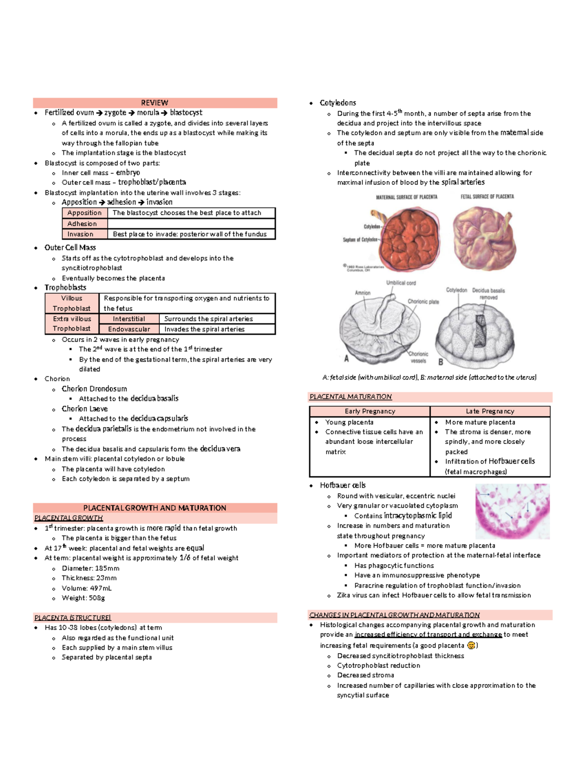 Growth and Maturation - Lec - PHYSIO OB PLACENTAL GROWTH AND MATURATION ...