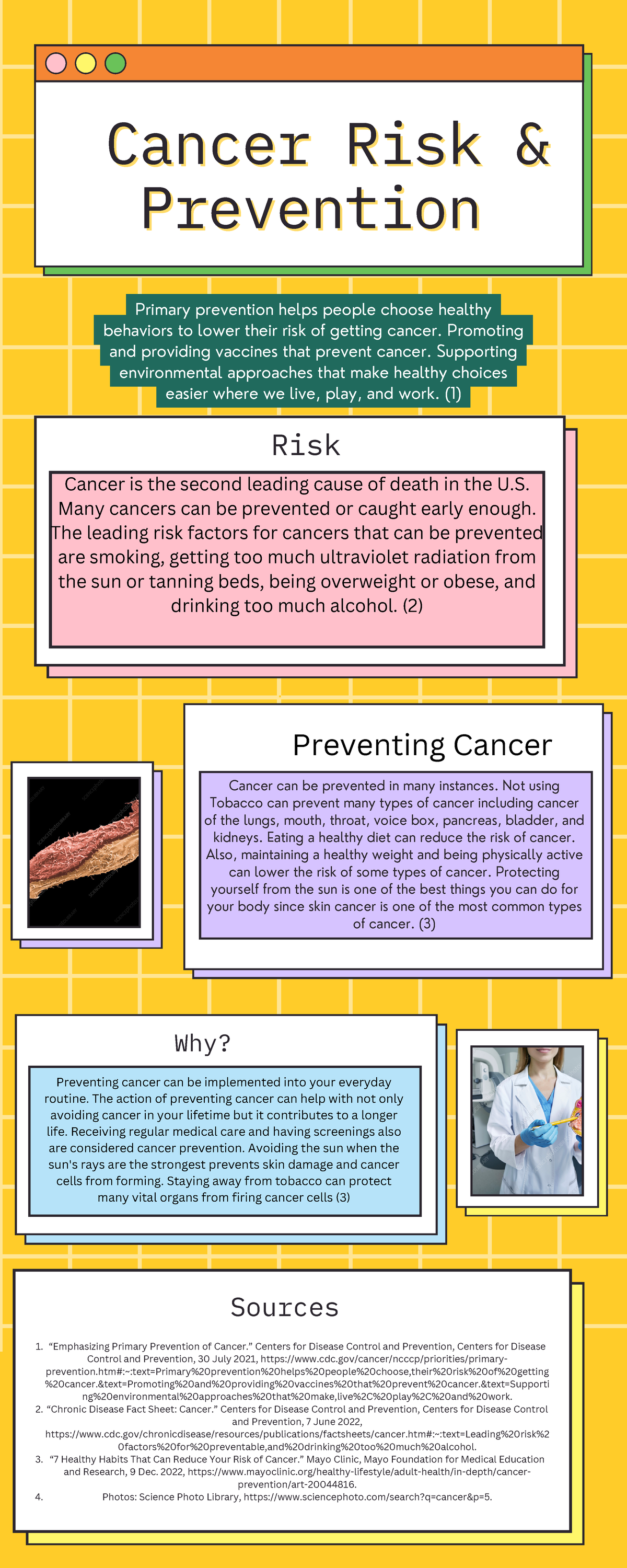 Cancer Prevention Assignment Cancer Risk Andcancer Risk And Prevention Prevention Cancer Can