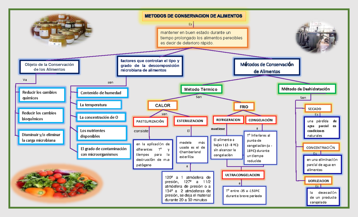 Arriba 67 Imagen Mapa Mental De La Descomposicion De Los Alimentos Abzlocalmx 5039