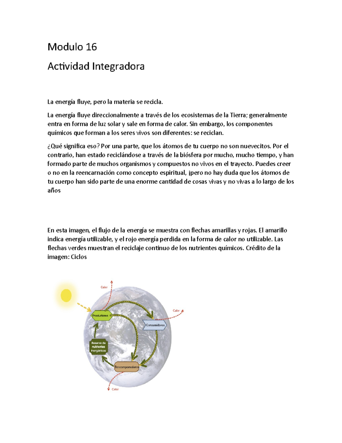 Modulo 16 Integradora - APUNTES DE GUIA - Modulo 16 Actividad ...