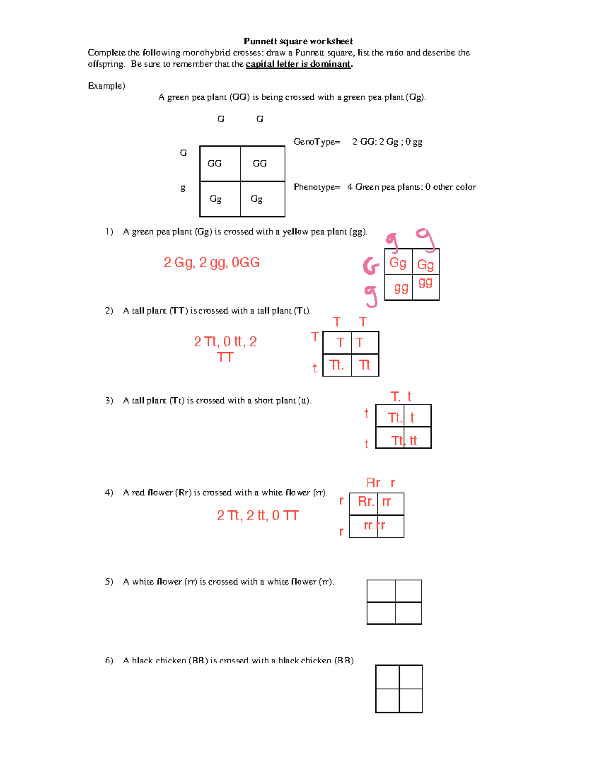 21) punnett square worksheet - Punnett square worksheet Complete the ...