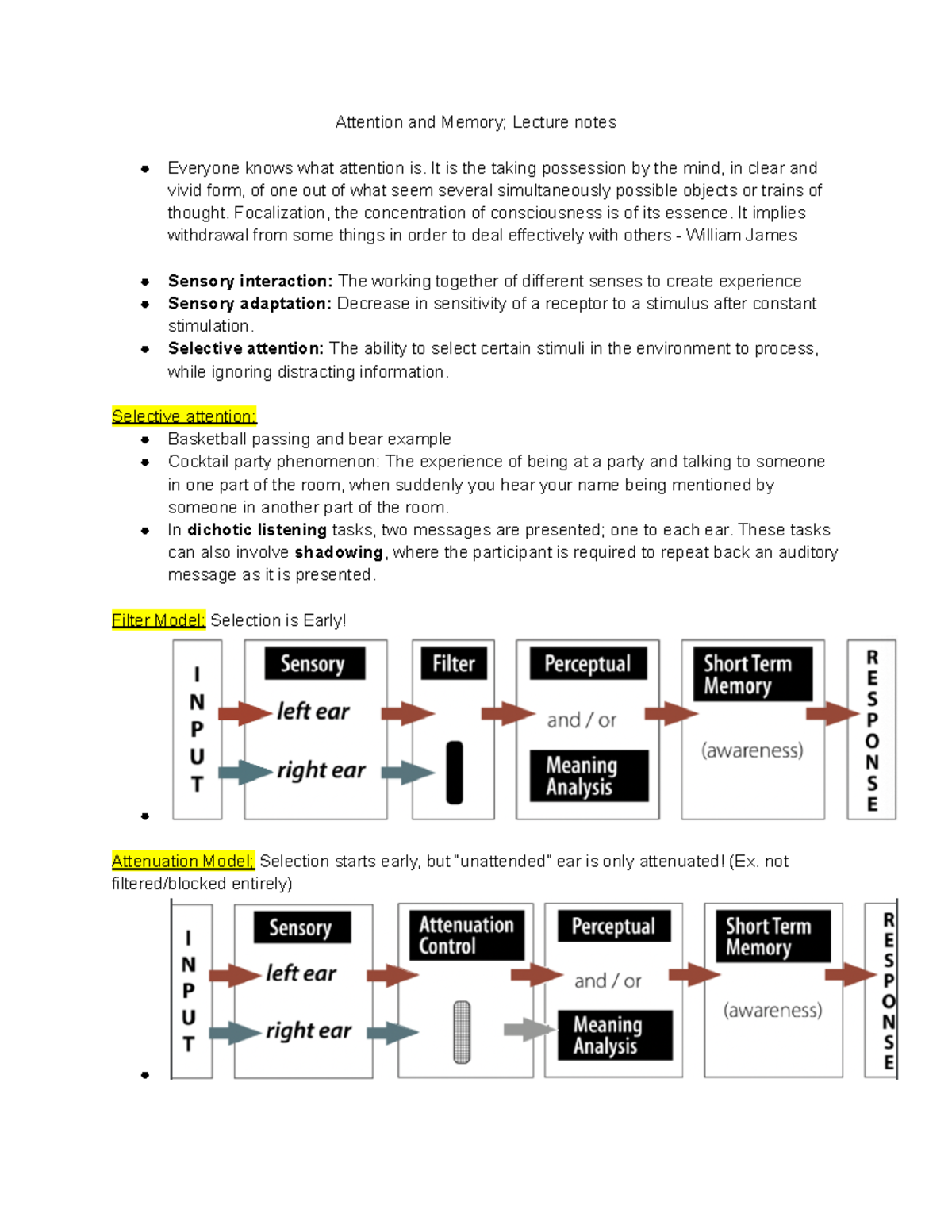 Attention and Memory; Lecture notes - Psyc236 - queensu - Studocu