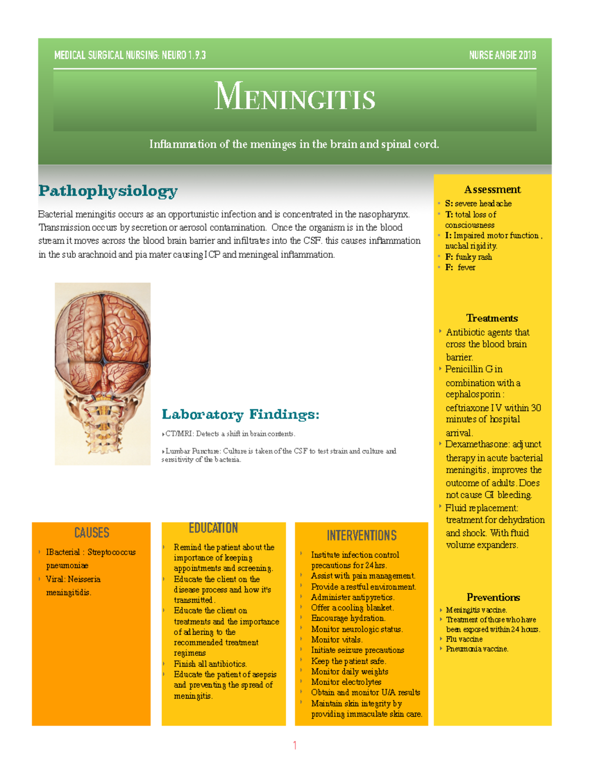 Meningitis: Causes Symptoms and Treatment - Studocu