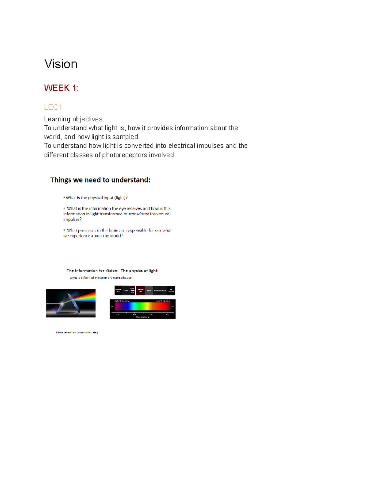 LEC Notes - 1 - Lecture 1- Vision - PSYC2016 - Vision WEEK 1: LEC ...