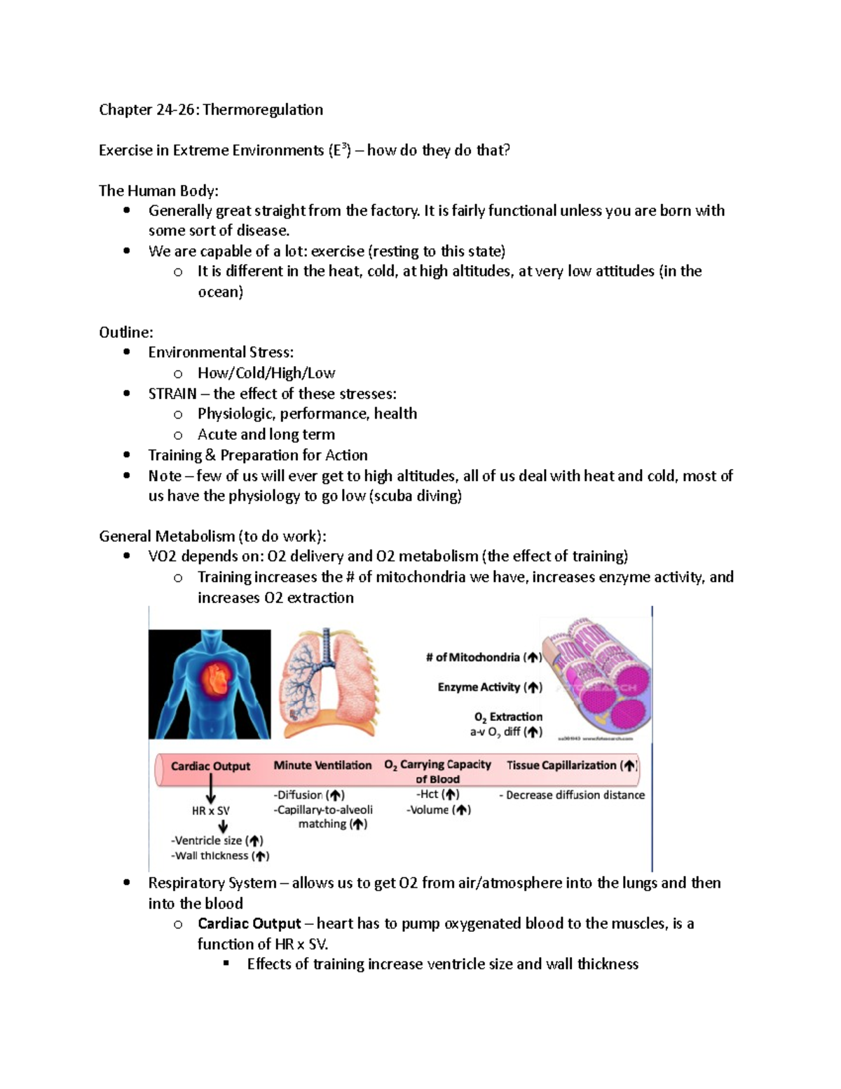 Chapter 24-26 - Thermoregulation Exercise Physiology - Chapter 24-26 ...