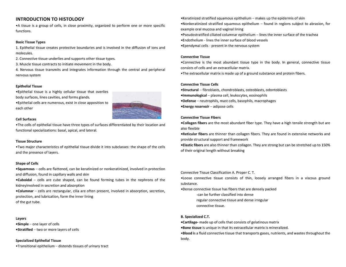 HHIS- Prelims Reviewer - Medical Laboratory Science (MedTech) - OLFU ...