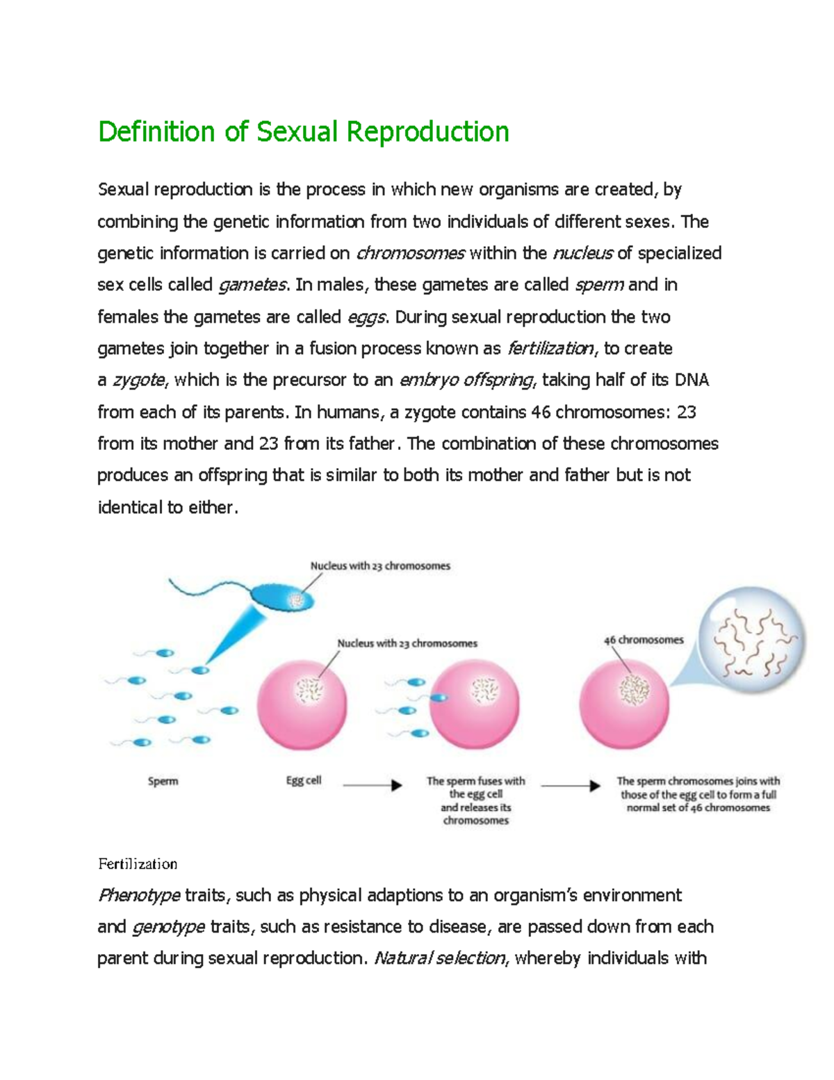 Definition Of Sexual Reproduction The Genetic Information Is Carried On Chromosomes Within The 0861