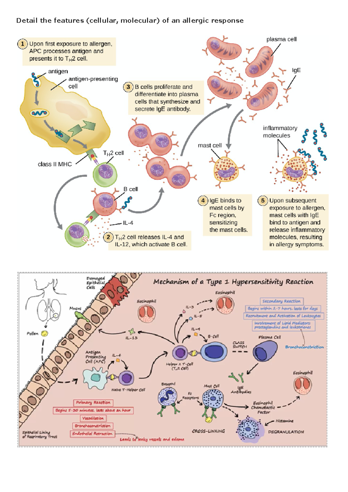 Pbl immunology newman pbl learning objectives Detail the features