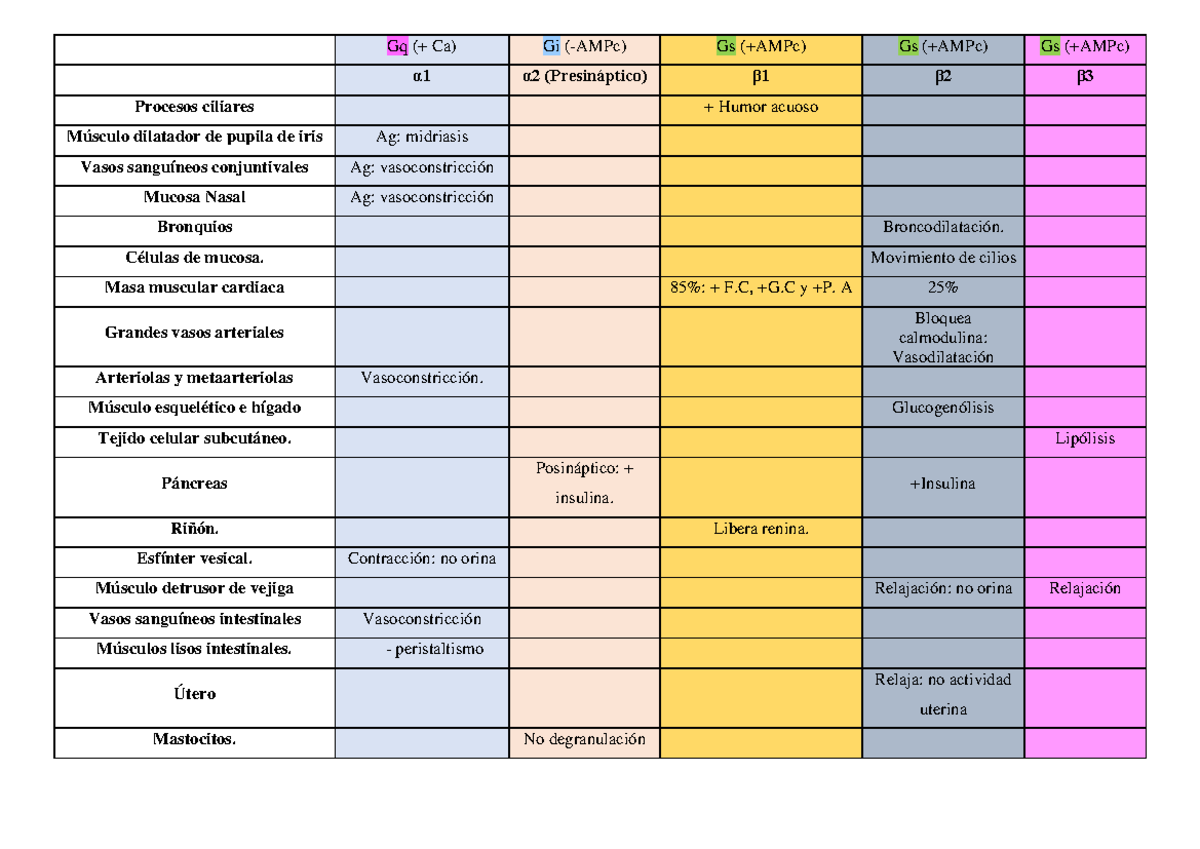 sistema-adren-rgico-ayuda-gq-ca-gi-ampc-gs-ampc-gs-ampc