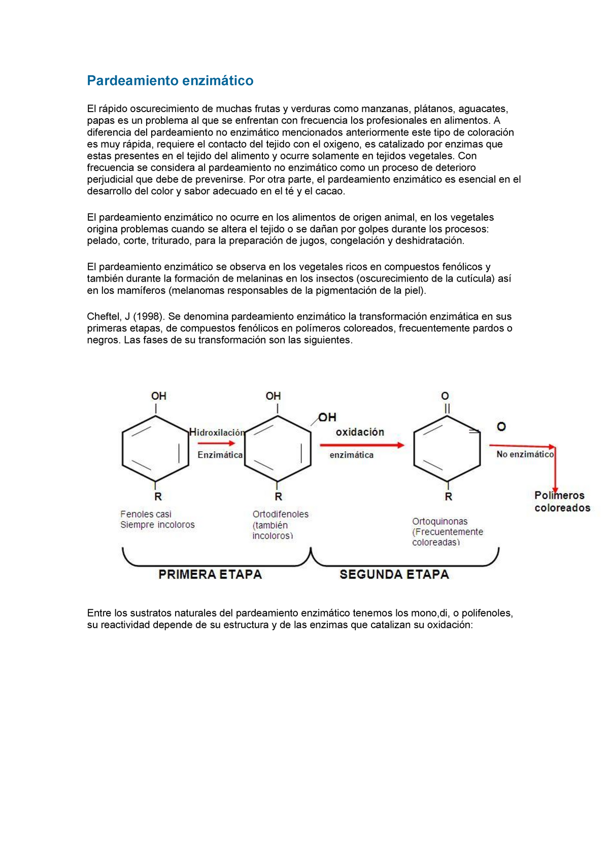 Pardeamiento Enzimático Pardeamiento Enzimático El Rápido Oscurecimiento De Muchas Frutas Y 1563