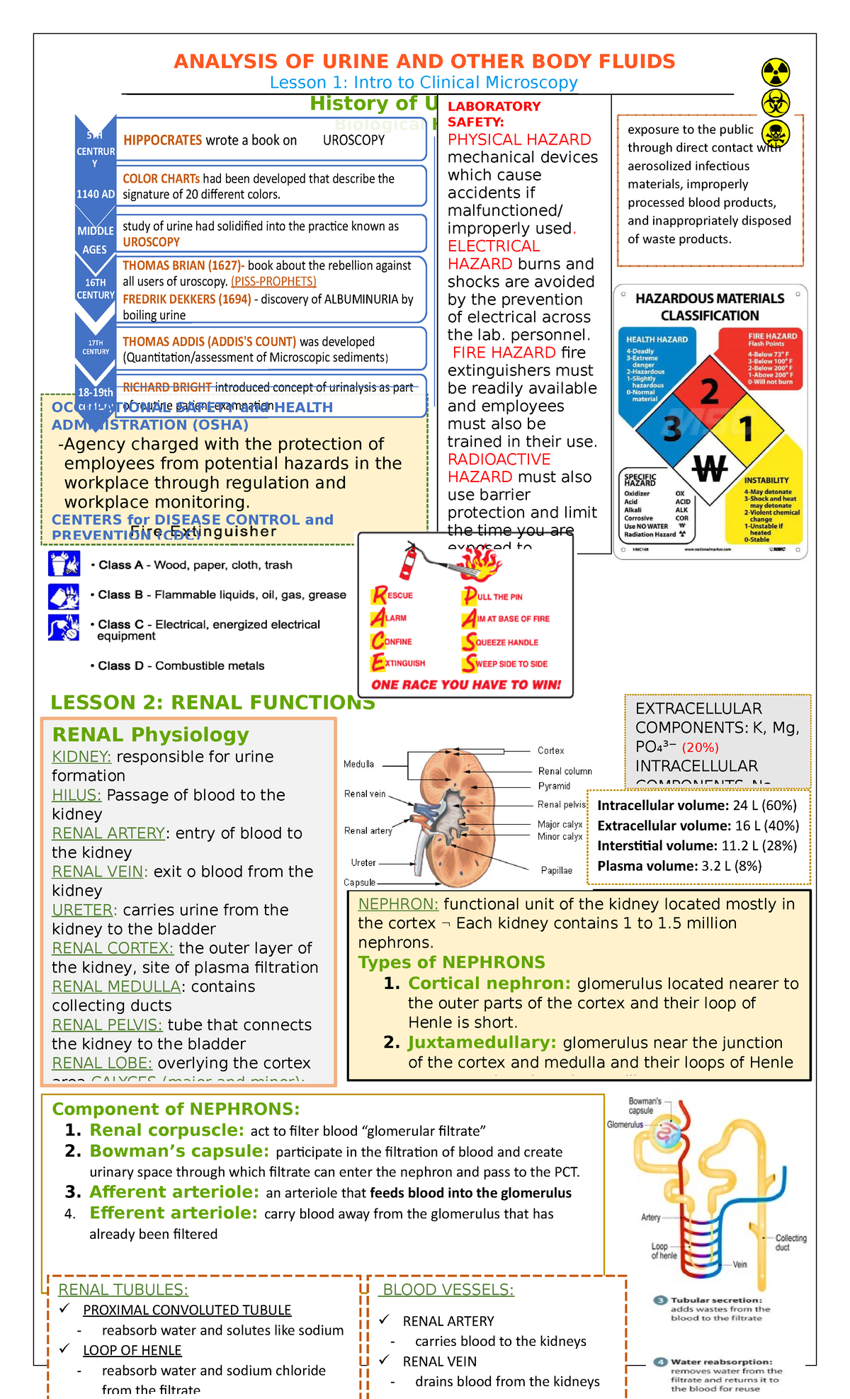 Analysis OF Urine AND Other BODY Fluids Reviewer - ANALYSIS OF URINE ...