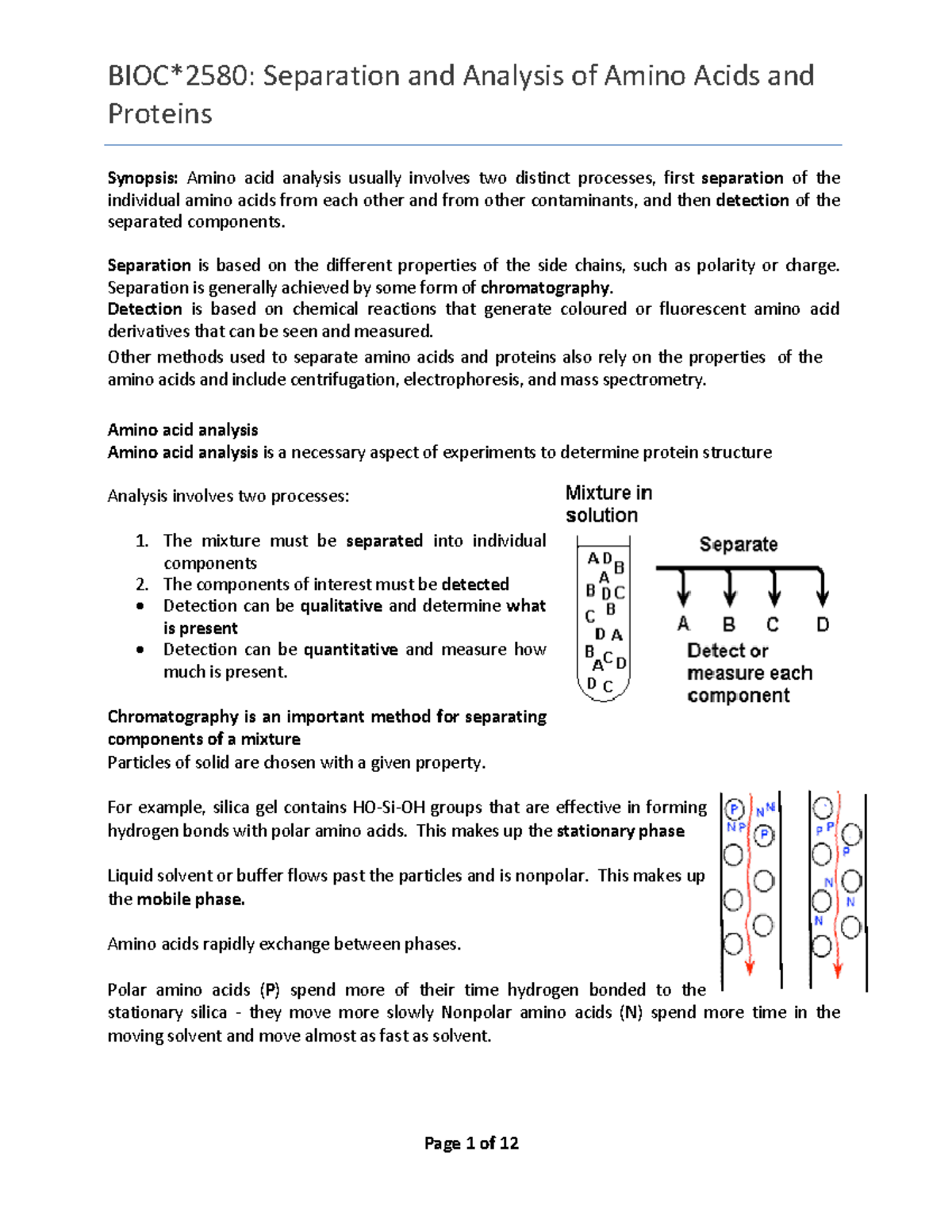 3. Amino Acid and Protein Analysis Proteins Synopsis Amino acid