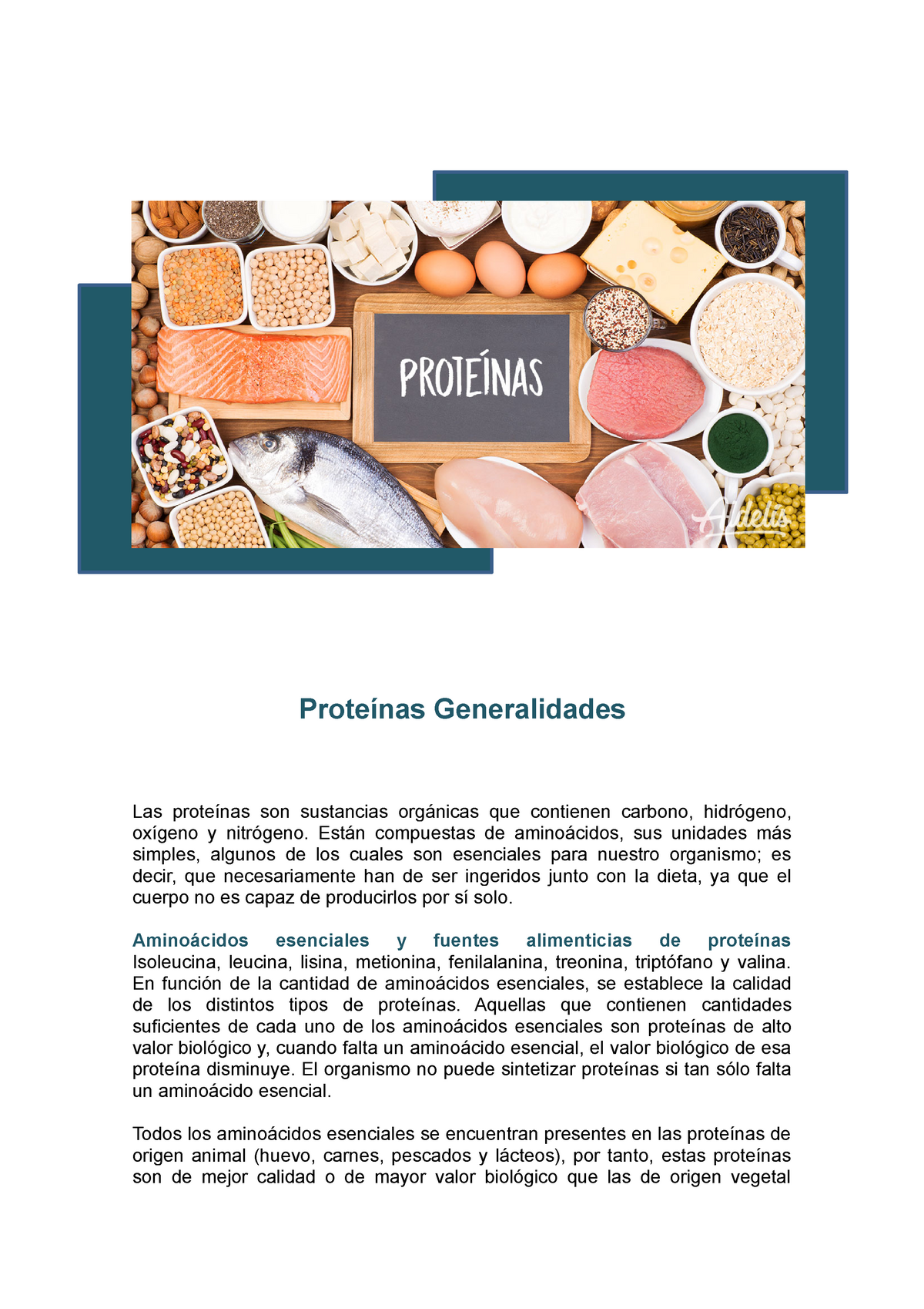 Generalidades De Las Proteínas Y Sus Características Proteínas Generalidades Las Proteínas Son 3537