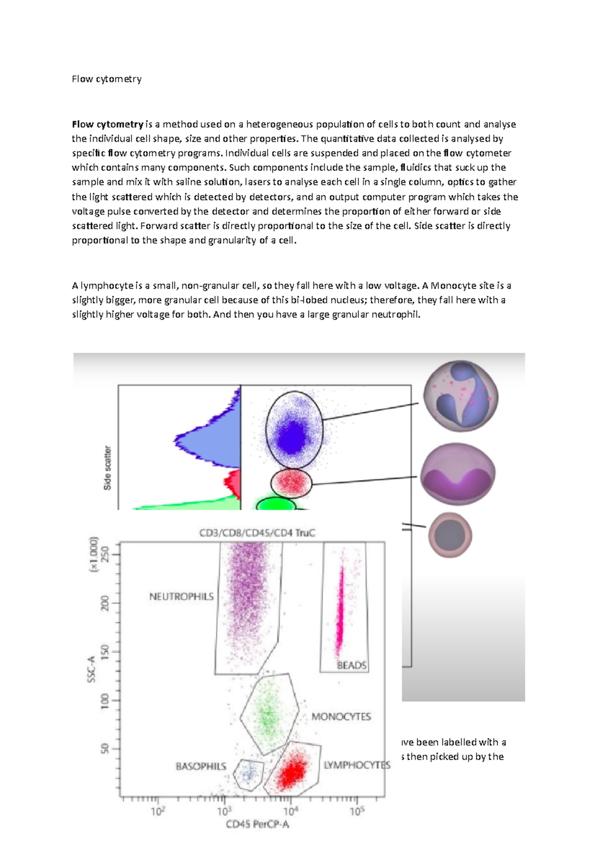 Flow cytometry - Concise revision material. - Flow cytometry Flow ...
