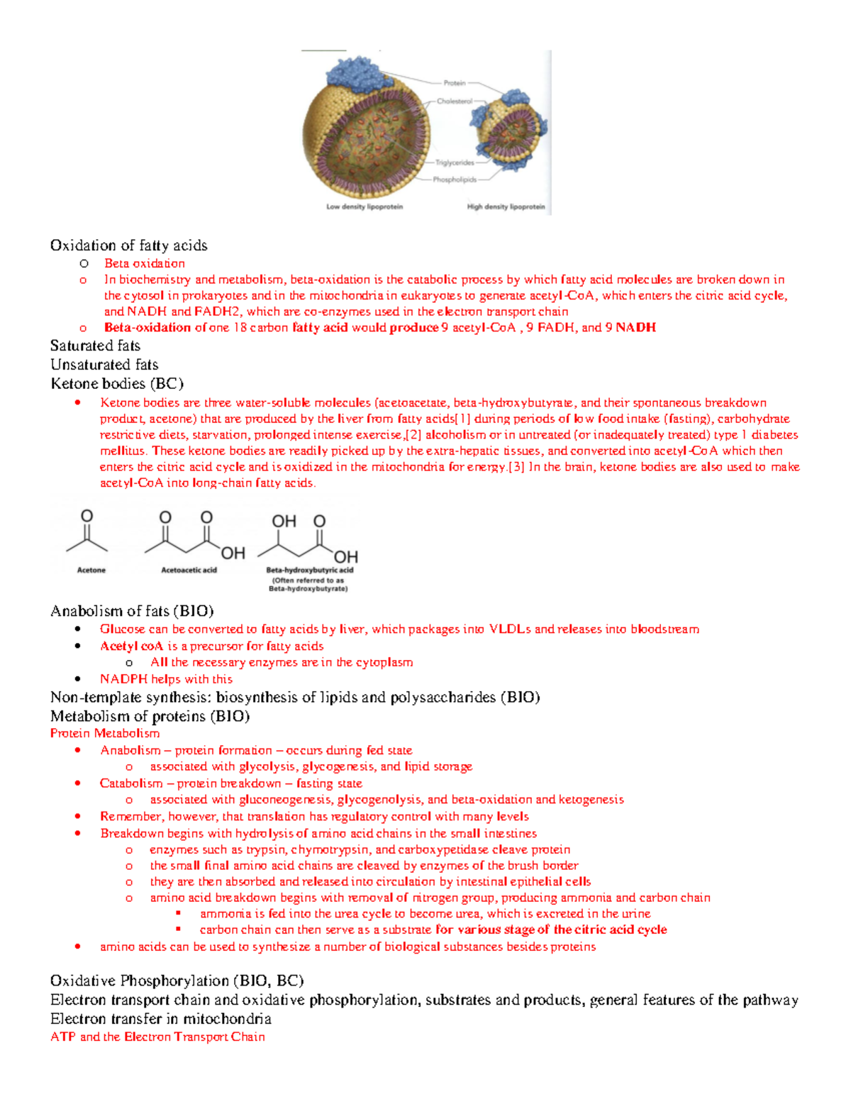 Lecture notes detailed content 30-30 - Oxidation of fatty acids o Beta ...