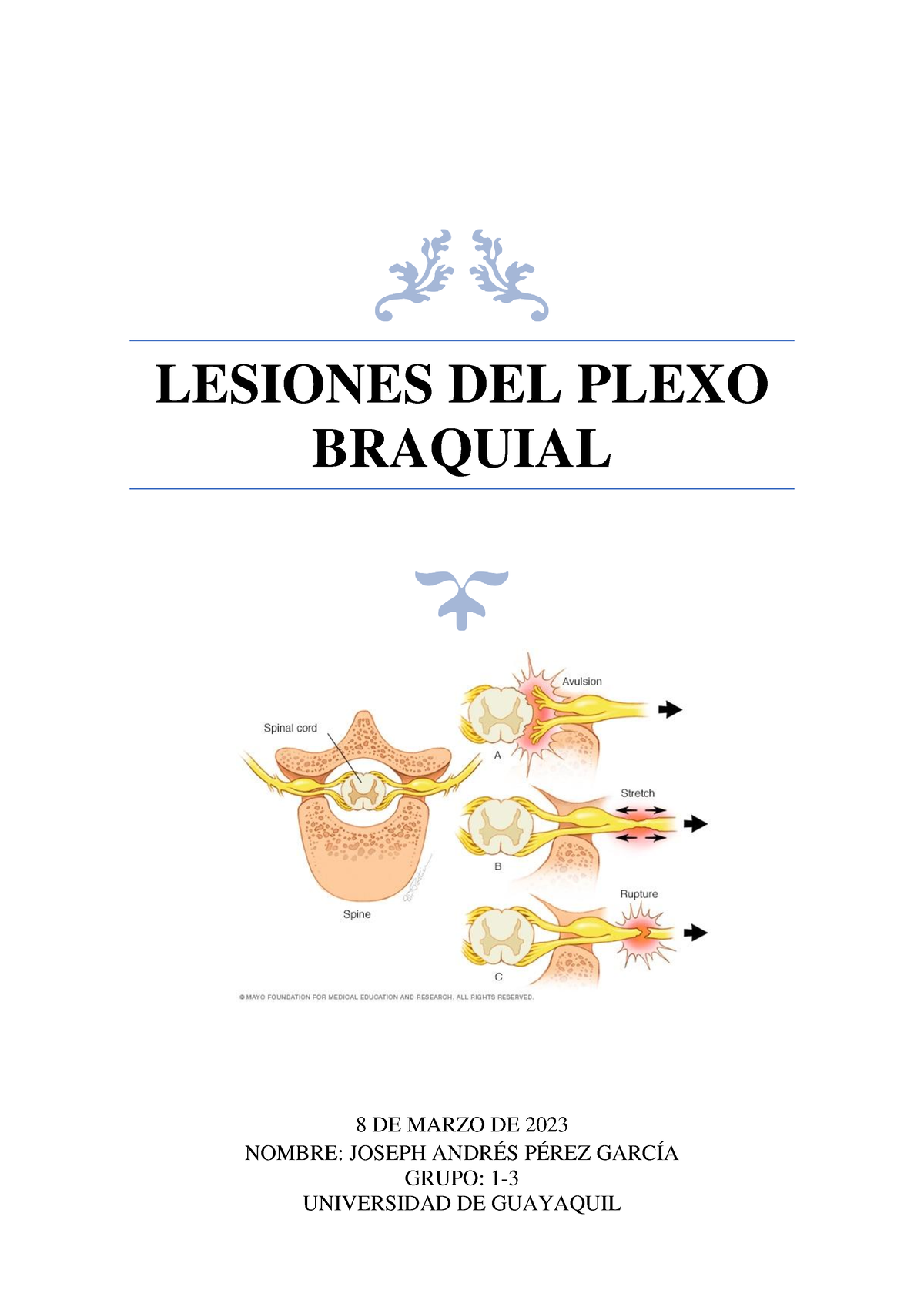 Lesiones Del Plexo Braquial - LESIONES DEL PLEXO BRAQUIAL 8 DE MARZO DE ...