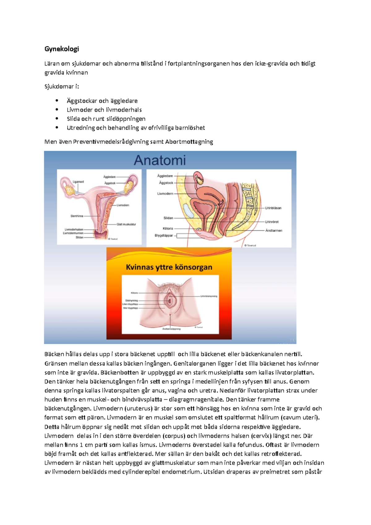 Gynekologi - Föreläsningsanteckningar 1 - Gynekologi Läran Om Sjukdomar ...