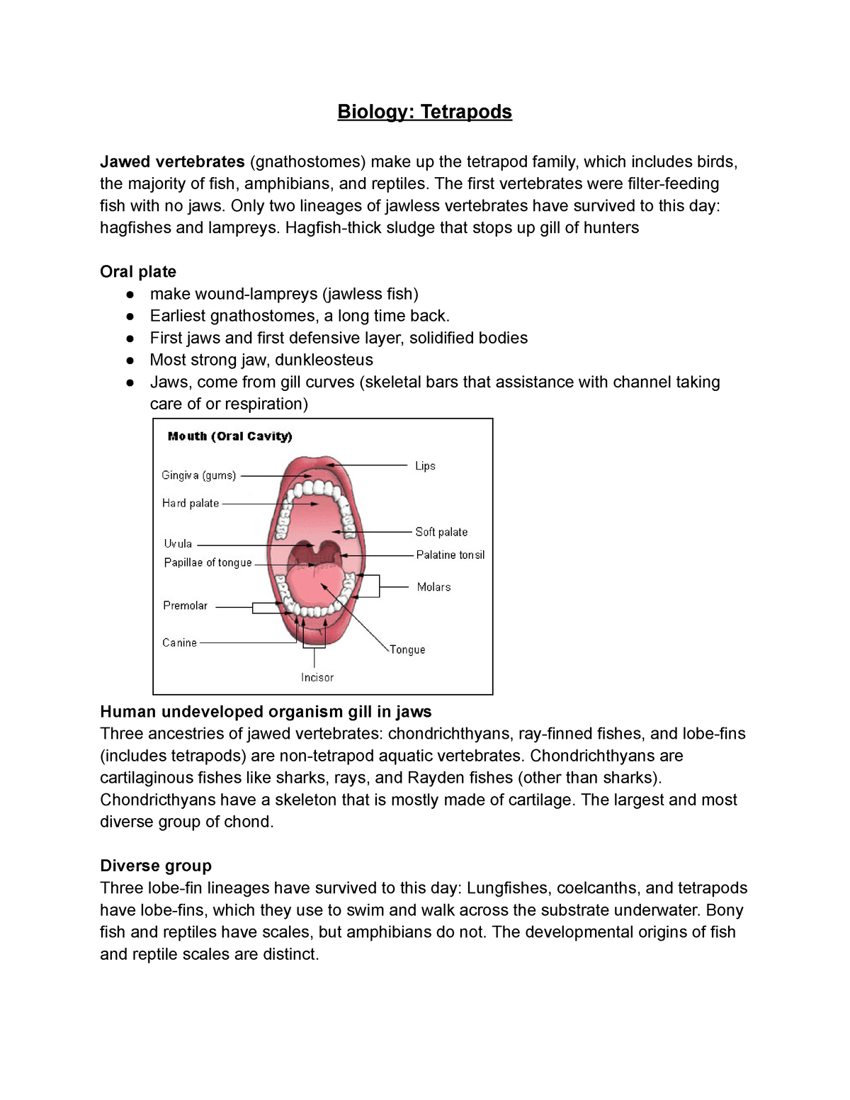 Biology Tetrapods - Biology: Tetrapods Jawed vertebrates (gnathostomes