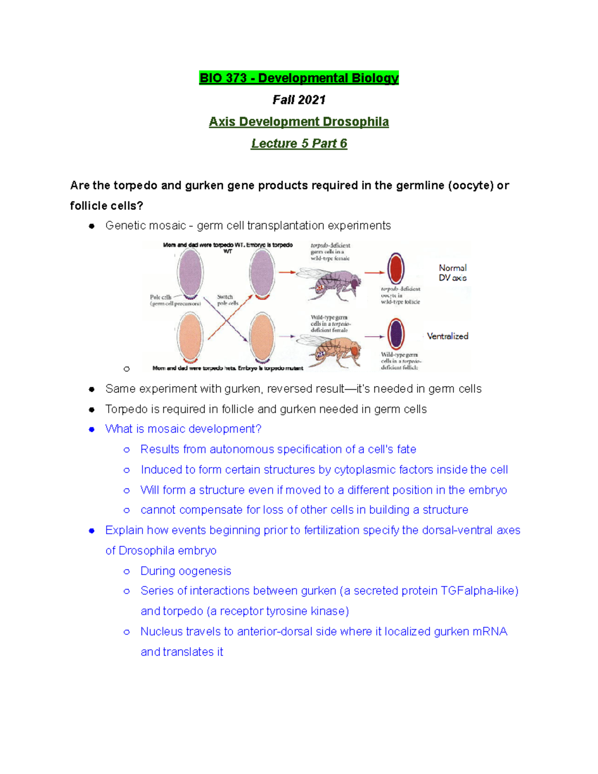 BIO 373 Lecture 5 Part 6 - Fall 2021 - BIO 373 Developmental Biology ...