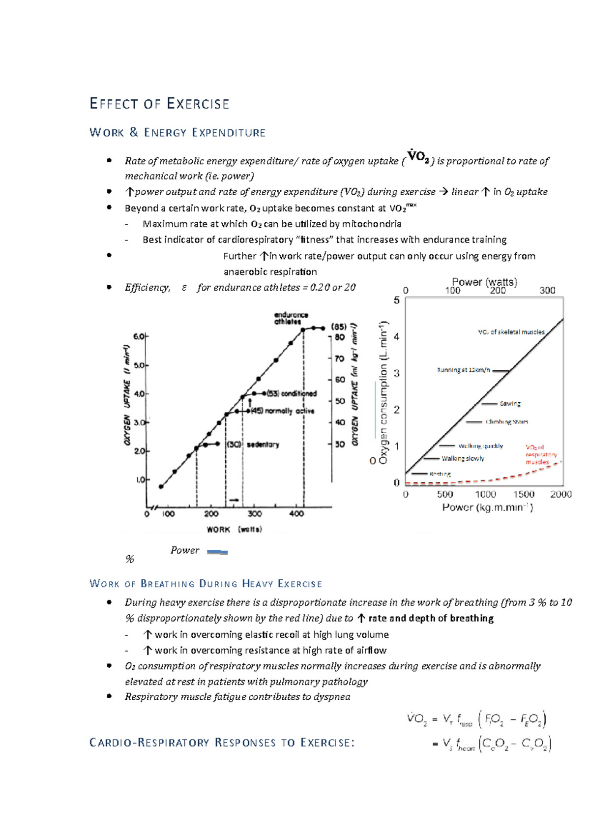 Lecture 35- Response of the Respiratory System to Exercise - E FFECT OF ...