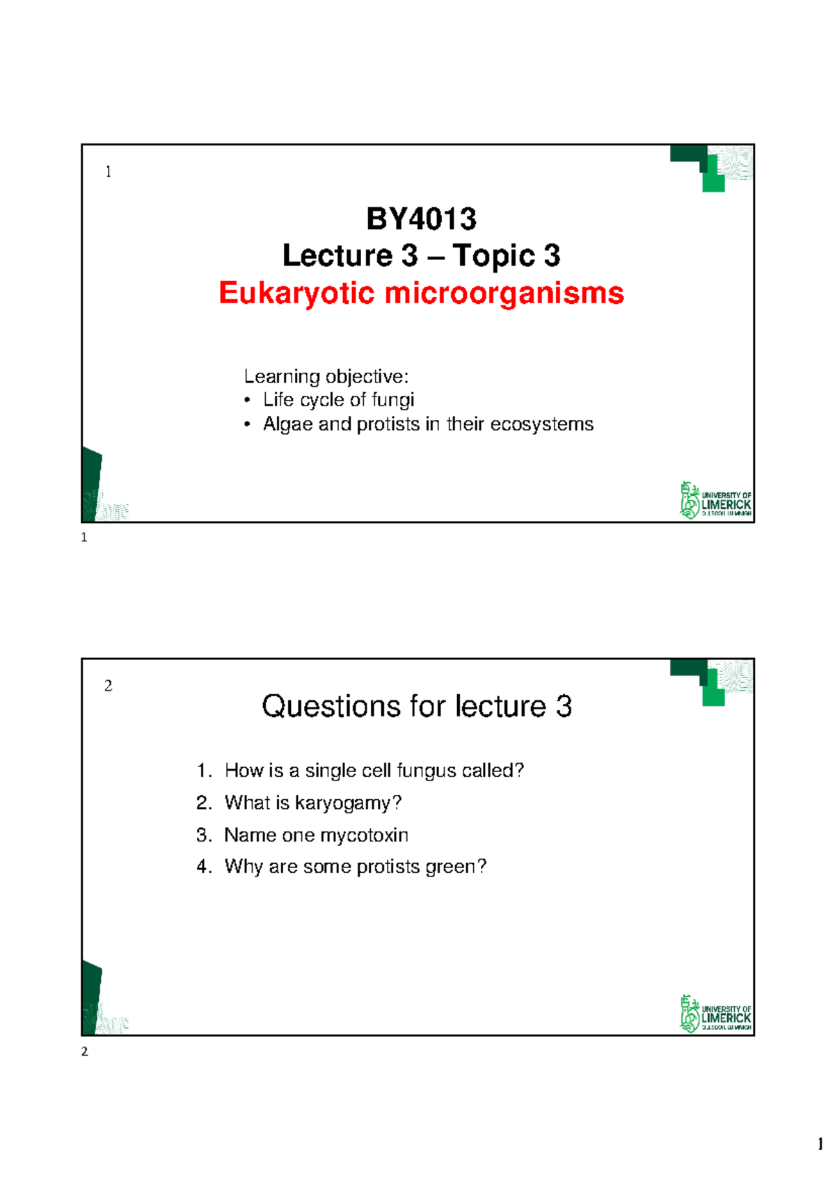 BY4013 lecture 3 eukaryotes 2024 - BY Lecture 3 – Topic 3 Eukaryotic ...